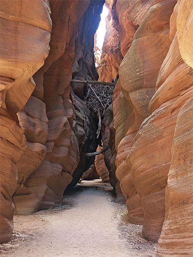 buckskin gulch