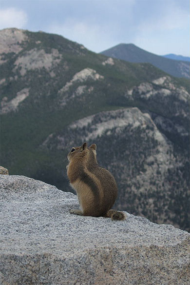 habitant des montagnes rocheuses