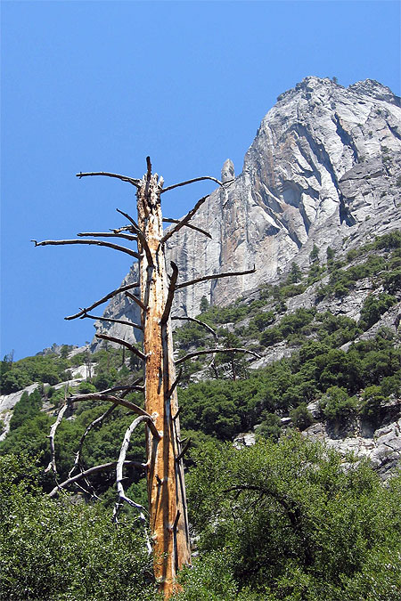 Yosemite National Park