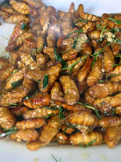 Gastronomie locale