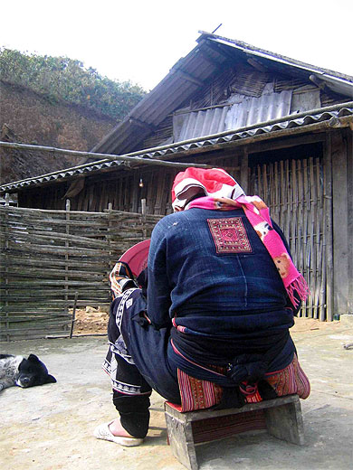 Daos rouges