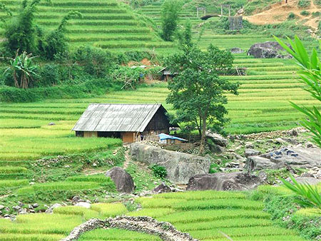 Sapa-BacHa