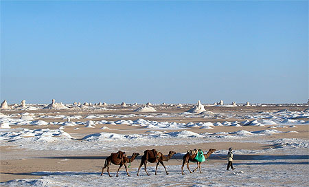 White desert