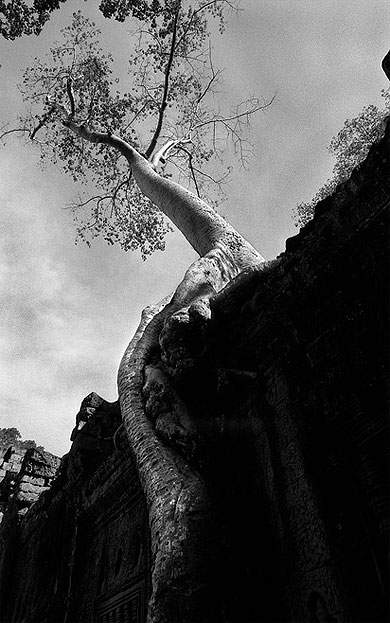 Angkor