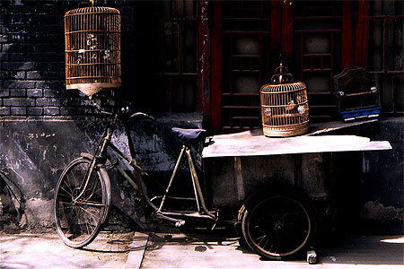 Cages aux oiseaux