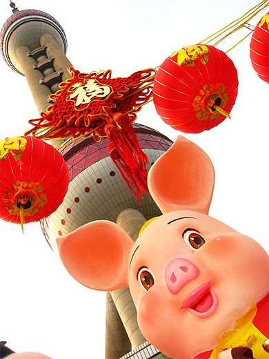 L'ann�e du cochon