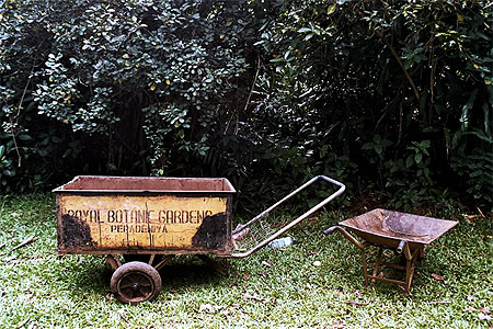 Royal Botanic Garden