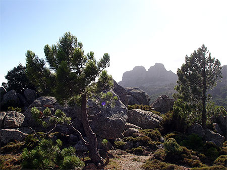 Montagne corse