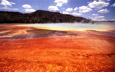 Yellowstone