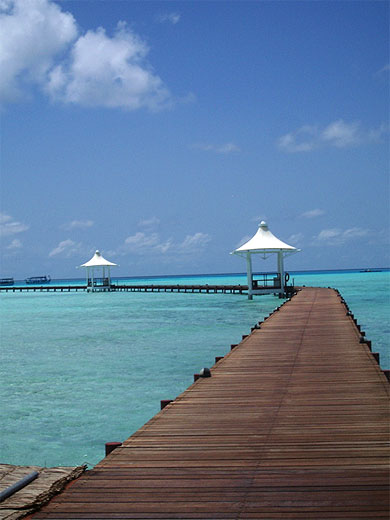 Ponton