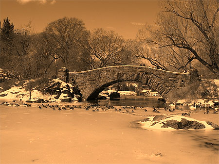 Central Park sous la neige