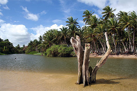 Playa Limon, Rio Cedro