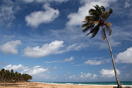 Playa Limon, El Cedro, Miches