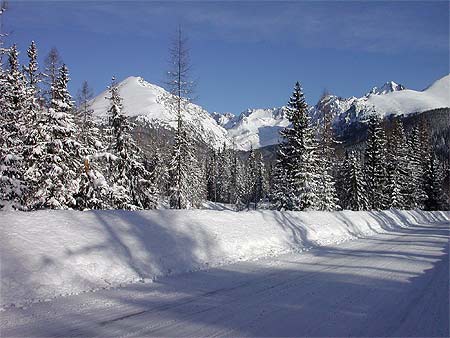 Montagne des Hautes Tatras l'hiver