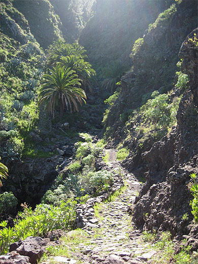 Randonn�e sur l'�le de La Gomera aux Canaries