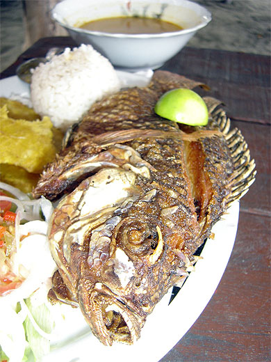 Poisson frais