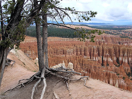 Bryce canyon