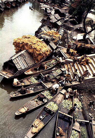 Maisons flottantes ( housseboats)