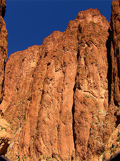 Gorges de Todgha