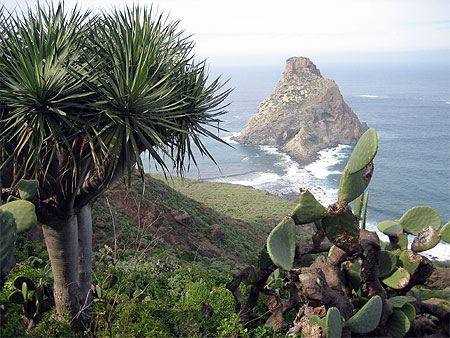 Roque de Dentro, Anaga,  �le de Tenerife