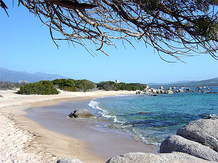 Une plage � Pianottoli.