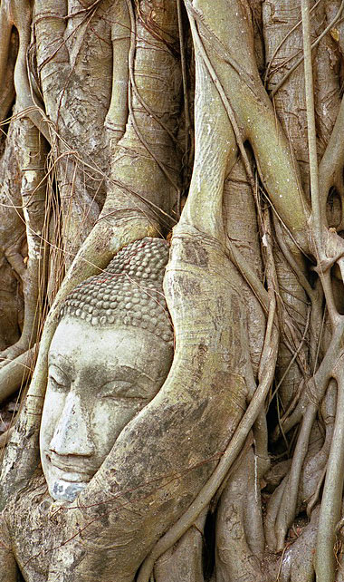 Ayutthaya