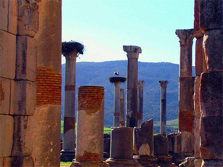 Colonnes