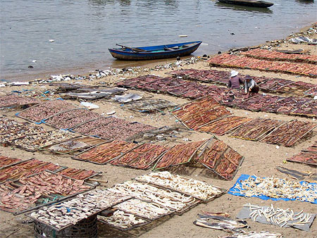Poisson s�ch� � Nha Trang