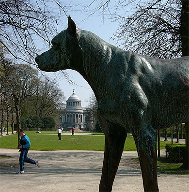 Le chien