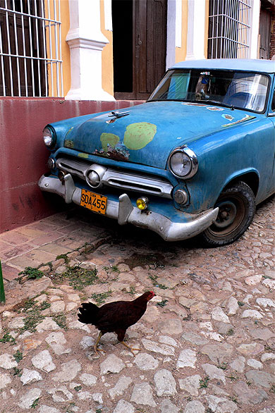 La poule