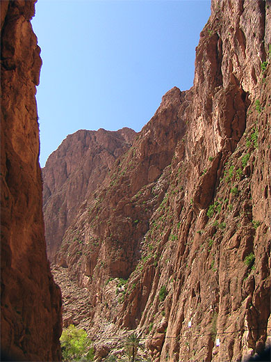 Gorges de Todgha