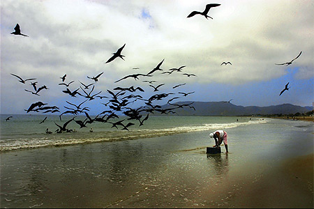 P�cheur de Puerto Lopez