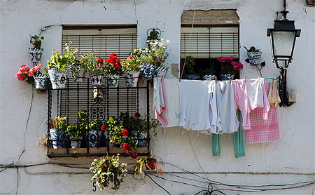 Linge