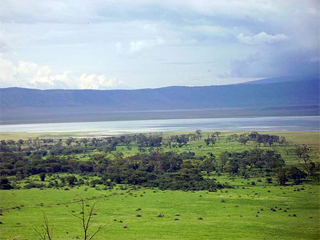 Crat�re Ngorongoro