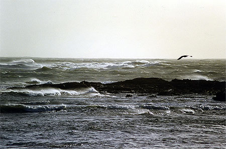 Coup de vent sur Lesconil
