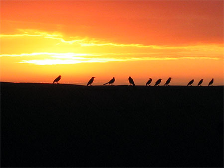 Coucher de soleil