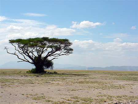 Amboseli
