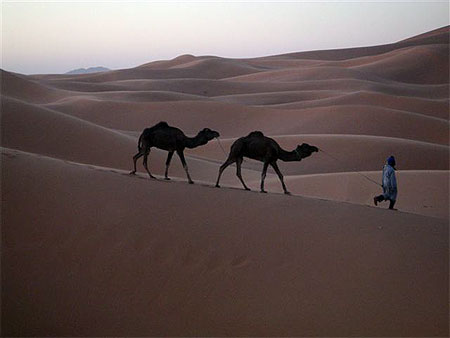 Lever du jour dans les dunes