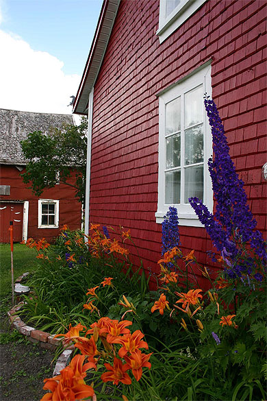 Floraison et maison