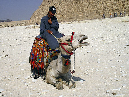 Rencontre au pied des pyramides