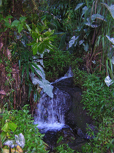 Chute d'eau