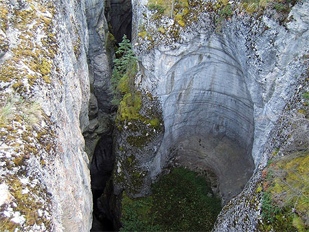 Canyon Maligne