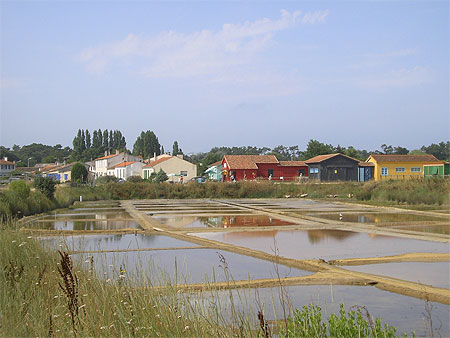 Marais salants