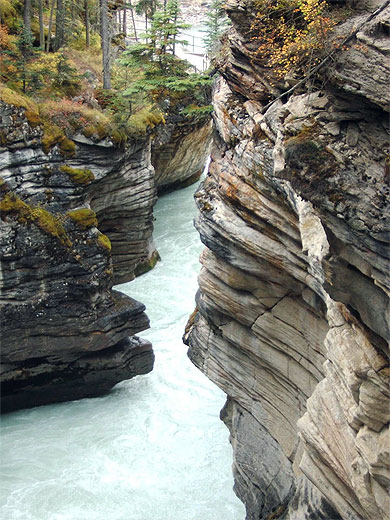 Canyon Maligne