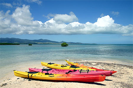 Kayaks sur un �let