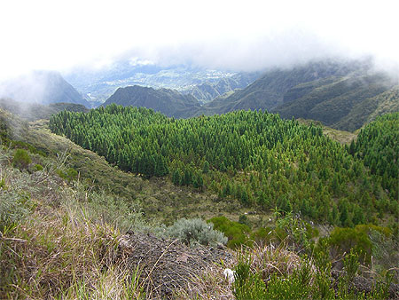 Cirque de Salazie
