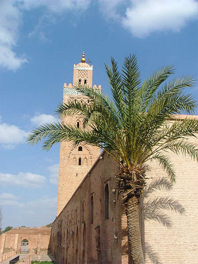 Mosqu�e la Koutoubia
