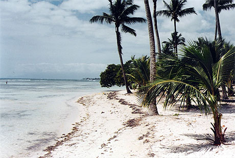 Plage de Bois Jolan