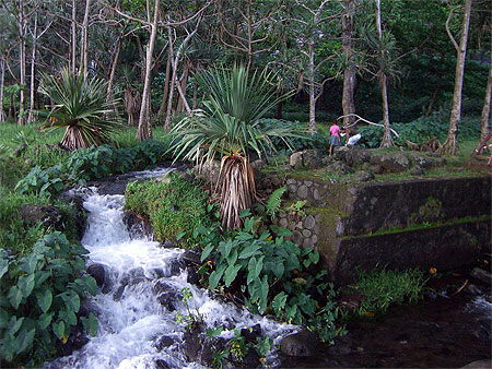 Anse des cascades