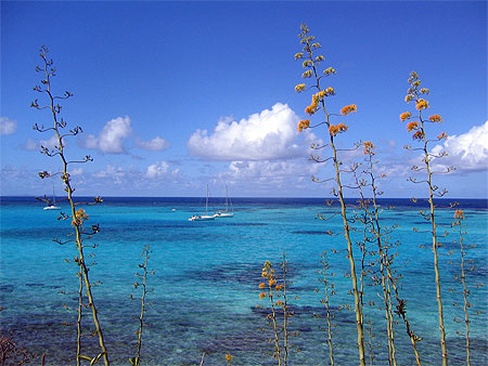 Tobago Cayes